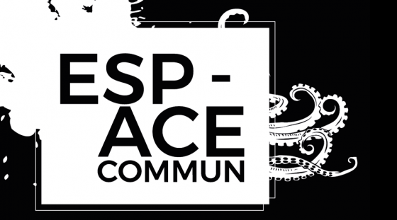 Espace Commun // Exposition collective – Foix – 12 Janvier 2018