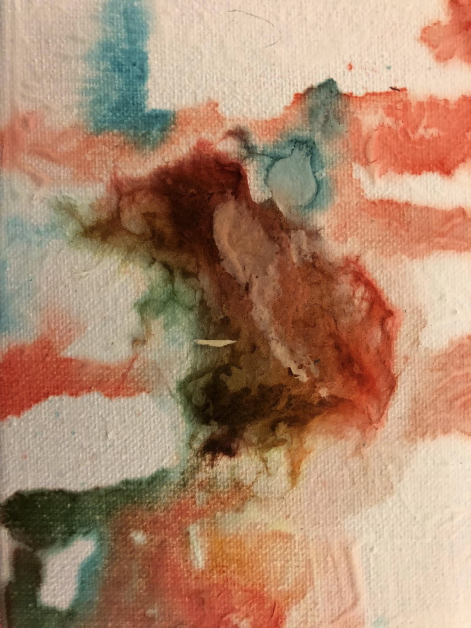 471327264_9851508421532059_7392034601047064578_n