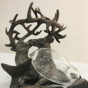 Exposition « Fragiles »